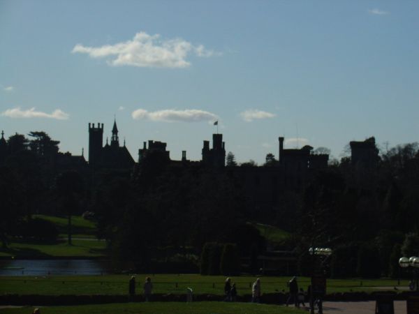 Click to view full size image