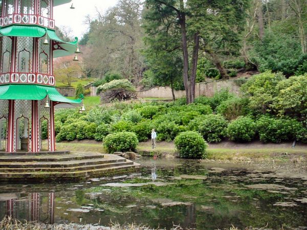 Click to view full size image