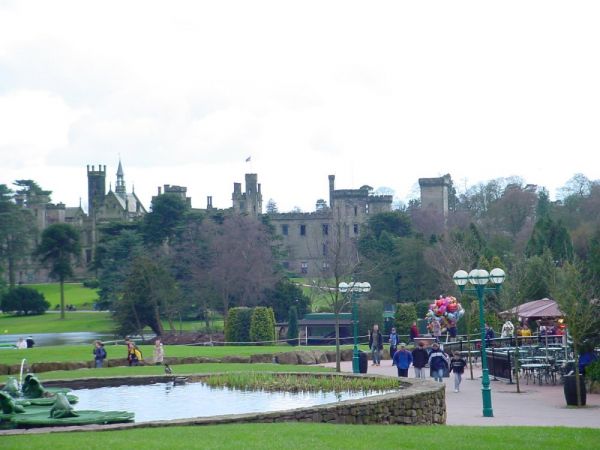 Click to view full size image