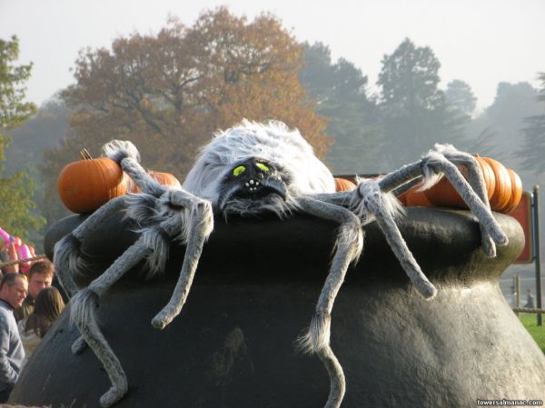 Click to view full size image