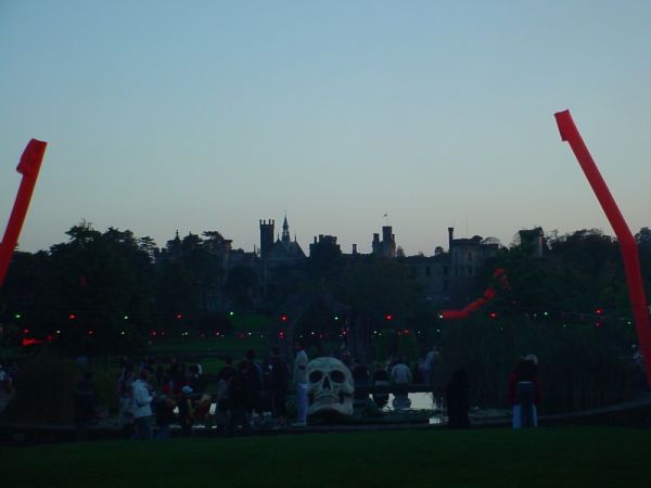 Click to view full size image