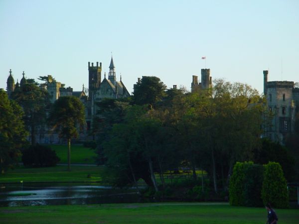 Click to view full size image