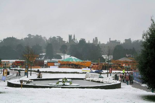 Click to view full size image