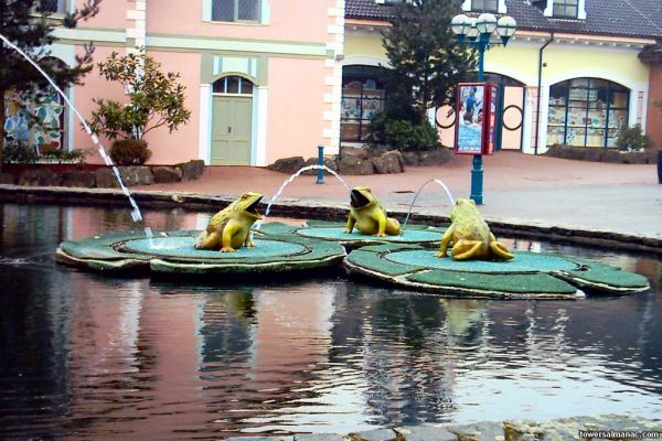 Click to view full size image