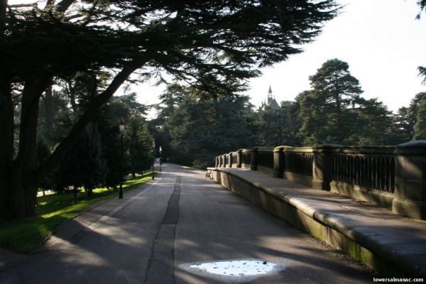 Click to view full size image