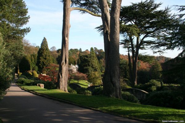 Click to view full size image