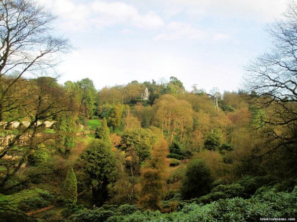 Click to view full size image