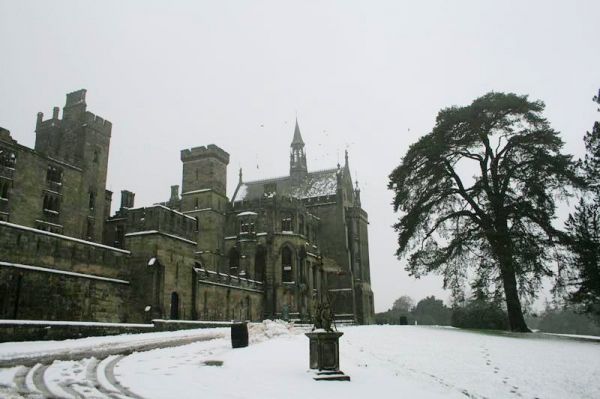 Click to view full size image