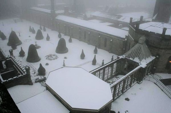 Click to view full size image