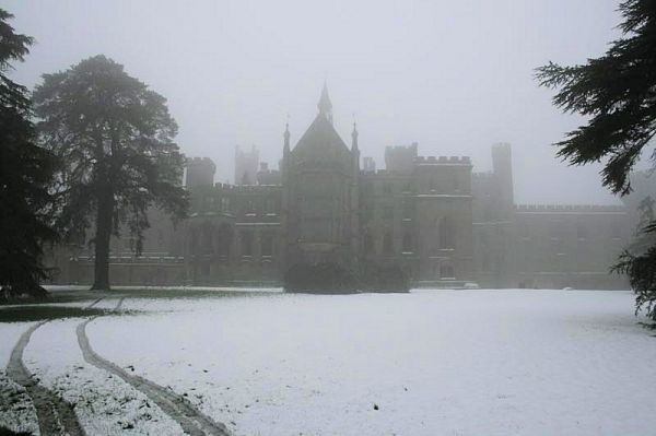 Click to view full size image