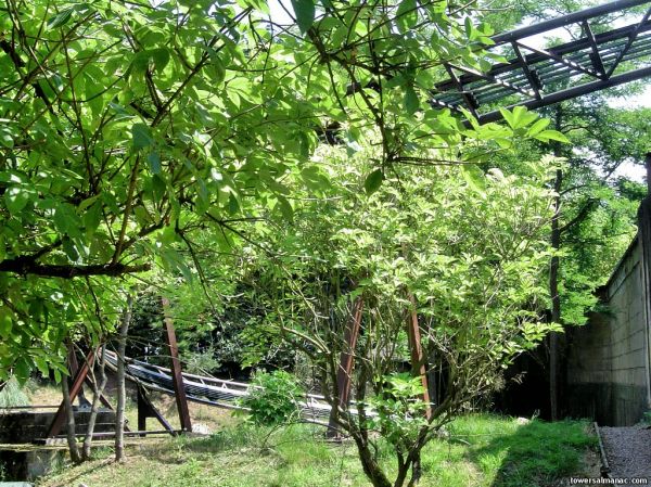 Click to view full size image