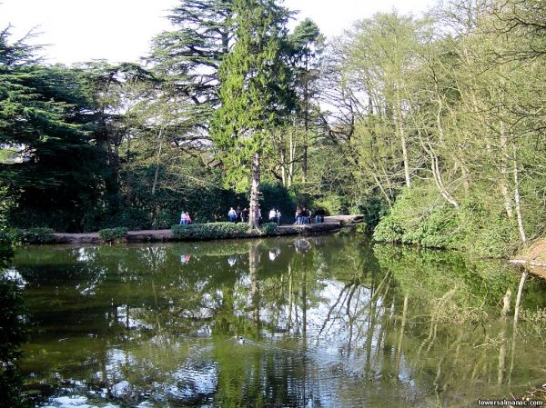 Click to view full size image