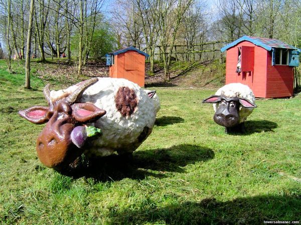 Click to view full size image