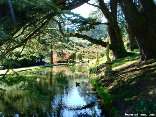 Click to view full size image