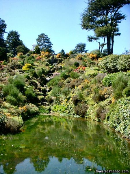 Click to view full size image