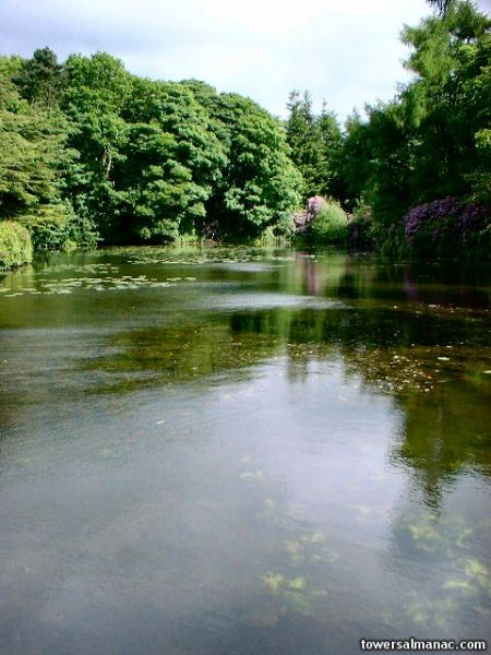 Click to view full size image