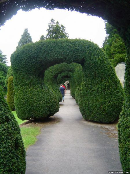 Click to view full size image