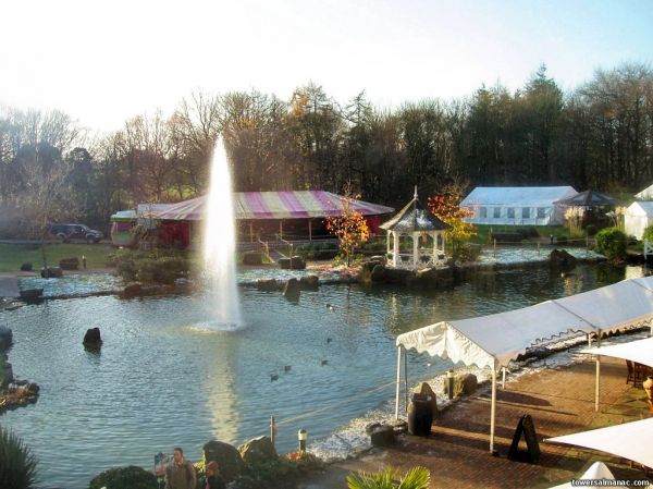 Click to view full size image